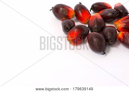 Fesh palm oil seed on white background