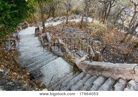 Stone Staircase In Park