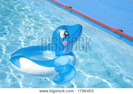 Floating Delphin