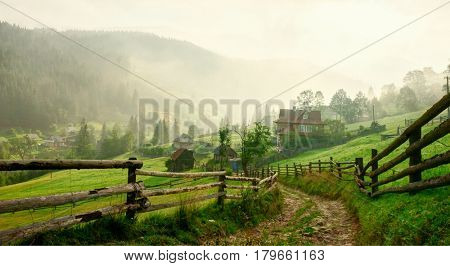 Country Road  at dawn,  Vorokhta,   Carpathian Mountains, Ukraine. Toned image