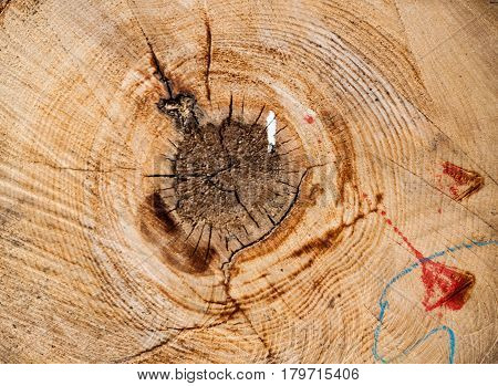 Wooden background, texture severed wood logs with nodes