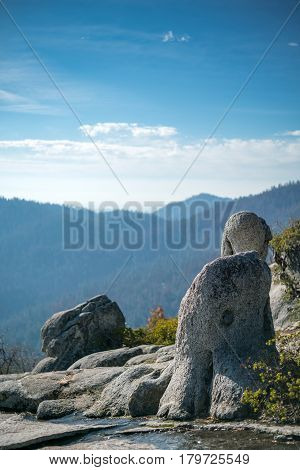 National park in spring with stone on foreground