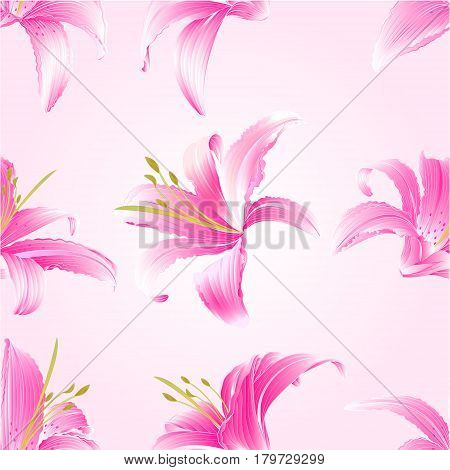 Seamless texture Spring flowers Lily pink Daylily vintage vector illustration