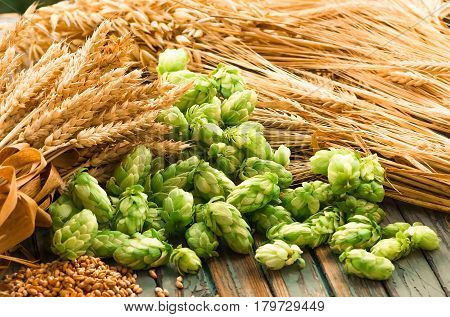 Green hops malt ears of barley and wheat grain ingredients to make beer and bread agricultural background