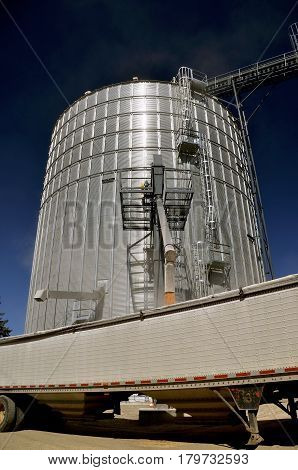 Shelled corn is transferred from an auger of a new storage bin to the trailer of a semi truck.