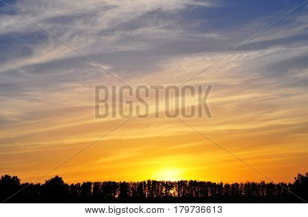 Sun Over Horizon Sunset Sunrise Background. Sunset Over Dark Ground Forest.