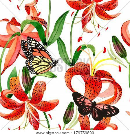 Wildflower leopard lily flower pattern in a watercolor style isolated.  Aquarelle wild flower for background, texture, wrapper pattern, frame or border.