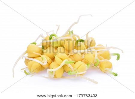 snow pea sprouts isolated on white background