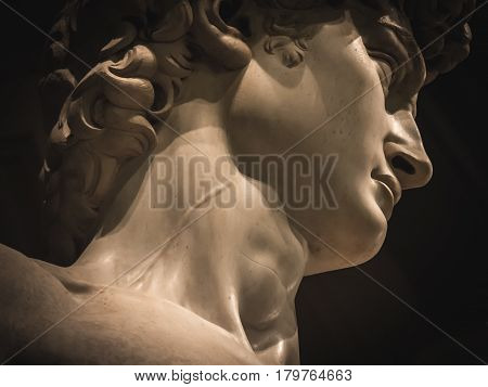 David by Michelangelo neck vein detail very close