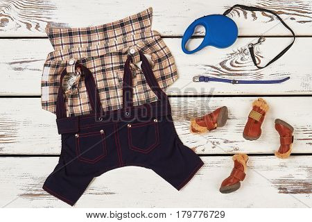 Shirt, overalls, boots and leash. Dog's clothing and equipment.