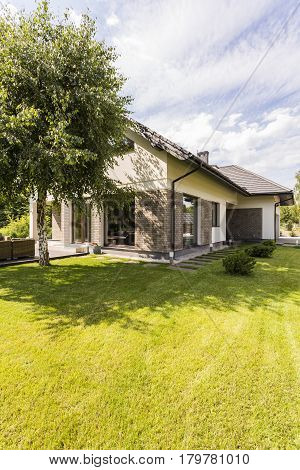 Big House In The Suburbs