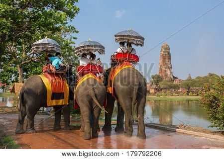 Ayutthaya, Thailand - March 3, 2017: Tourists on the elephants ride tour of the ancient city in Ayutthaya, Thailand
