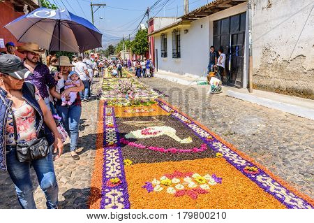 Antigua, Guatemala - March 26 2017: Locals make & admire procession carpets during Lent in colonial town with most famous Holy Week celebrations in Latin America.