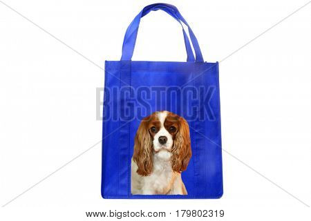 Reusable shopping bag with a King Charles Cavalier dog photo on the side.
