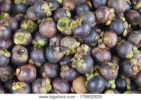 Mangostin - fruit on appearance looks as pomegranate, it is covered with a thick crust of violet color. Under a peel there is a white pulp consisting of 8 segments.