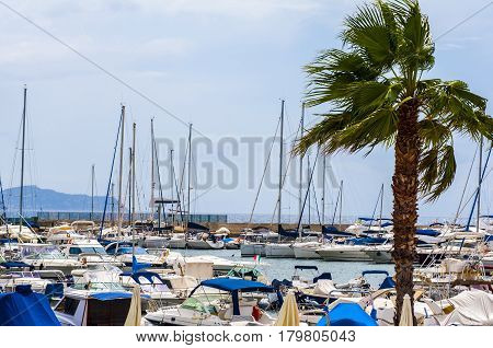 yacht boat and Fishing boats in a harbor on sardegna island in italy