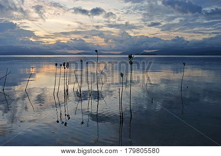 Pamilacan is a small island near Bohol in the Philippines