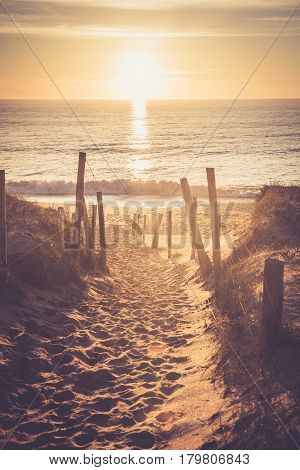 Path to the beach of la Gachere (Bretignolles-sur-mer, France)