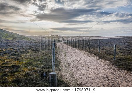 Sandy path in the dunes of la Gachere (Bretignolles-sur-mer, France)