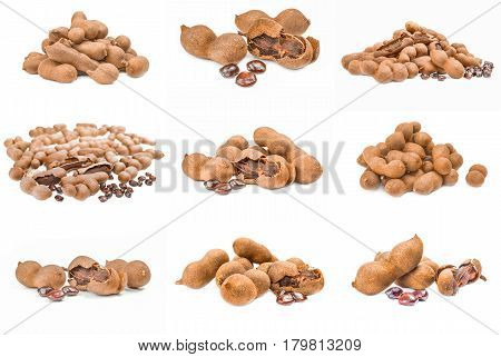 Collection of Tamarindus indica over a white background