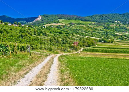 Country Road In Kalnik Mountain Landscape