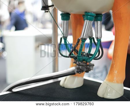 Cows milking machine on agricultural exhibition