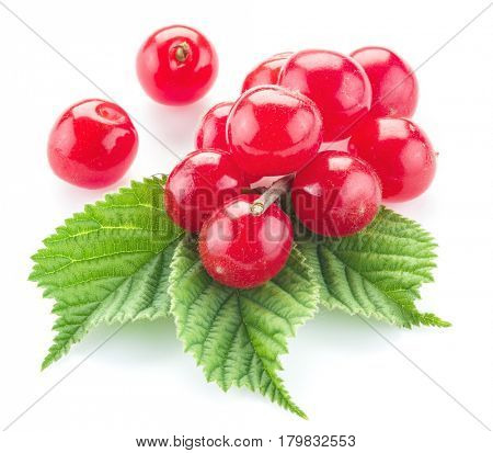 Nanking or felted cherry ftuits with leaves isolated on a white background.