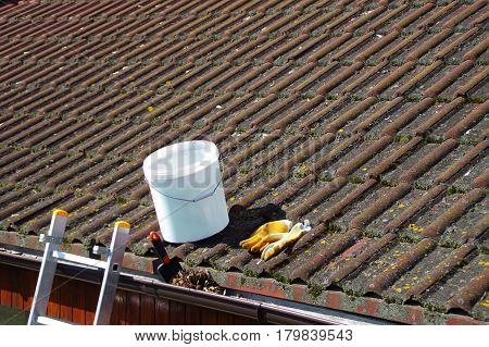 Dirty roof tiles with dense moss and gutter with leaves requiring cleaning ladder ready to work
