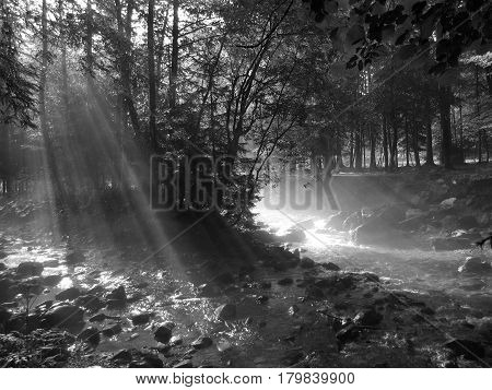 Sun rays in the morning Parc des Dérêches