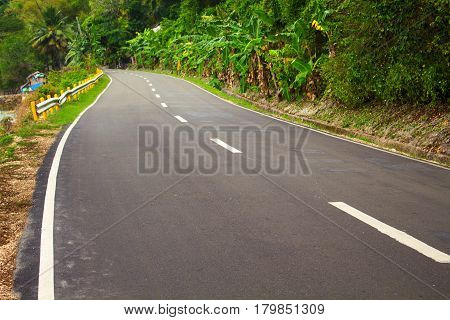 Highway in the jungle. Grey asphalt road and green roadside. Travelling in tropical island. Empty road in exotic nature. Green palm trees and blooming tropical nature. Motorbike or car summer trip
