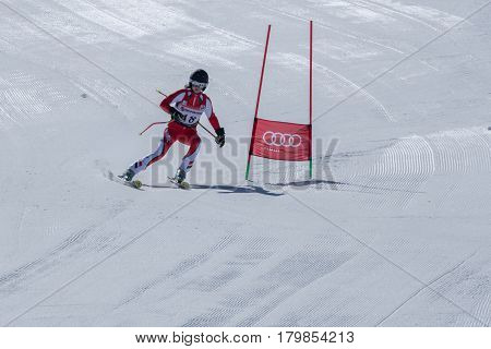 Diana Baptista During The Ski National Championships