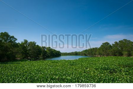 Landscape view of upcountry riverside at Thailand