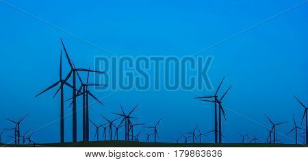 Wind turbines far as the eye can see