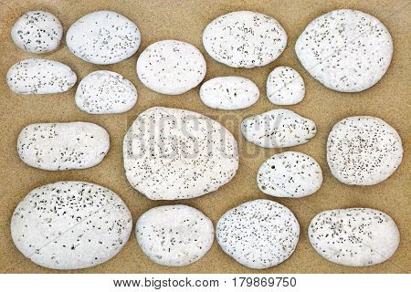 Sandy beach background with white stones with bore holes made by bivalved molluscs.