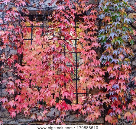 Albiate (Monza Brianza Lombardy Italy): exterior of the historic Villa Airoldi at fall