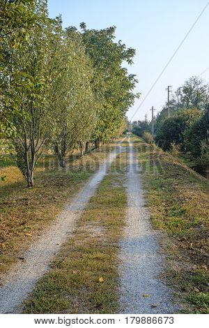 Park of Grugnotorto (Lombardy Italy) between Milan and Brianza in autumn. A path for bicycle and pedestrian