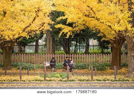 TOKYOJAPAN- NOV 22 :Tourists at Meiji Jingu Gaien in Tokyo Japan on November 22 2016.Meiji Jingu Gaien that has beautiful Ginkgo along the lenght of the street famous for autumn spot in TokyoJapan