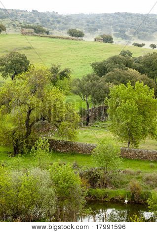 Countryside landscape