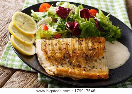 Grilled Arctic Char Fish With Mix Salad And Sauce Close-up. Horizontal