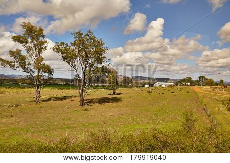 Australian plain landscape from the window of a moving train