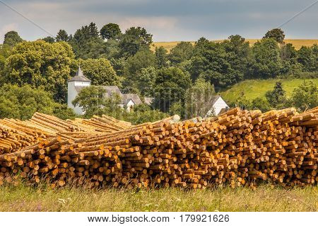 Piles Of Wood Timber Trunks At A Lumber Yard In Germany