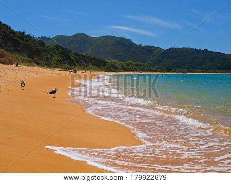 Totoranui Beach