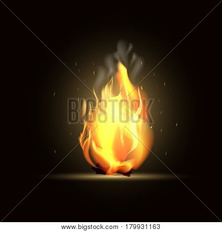 Realistic burning fire flame. on a dark background Vector illustration.