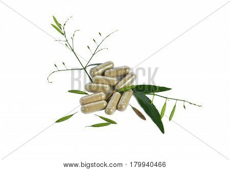 Kariyat herb Capsules isolated on white background.