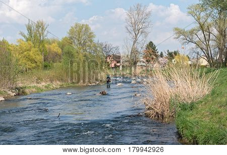 FRANKFURT, GERMANY-APRIL 04, 2017: Fly fishing in the renatured Nidda River