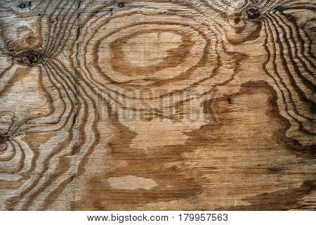 pine plywood with the large drawing of texture