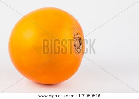Lulo ( Solanum quitoense ) on white background