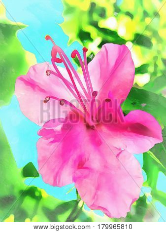 Watercolor pattern of ledum. Vivid illustration with realistic flower and leaves. Exotic graphic background Wallpaper. Fabulous stylised decorative background.