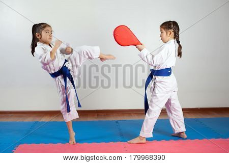 Two little girls demonstrate martial arts working together. Fighting position active lifestyle practicing fighting techniques