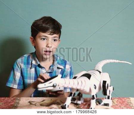 Boy Play  Toy With Remote Control Dragon